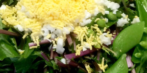 イタリアンレッスン