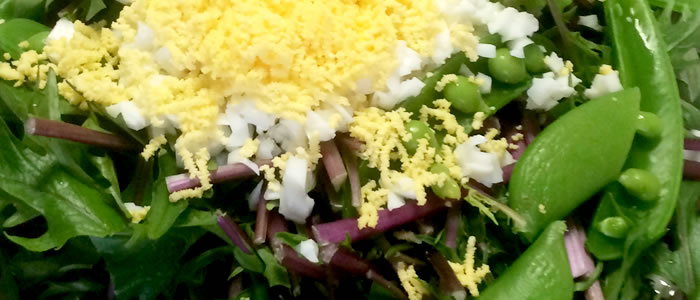 イタリアンレッスン