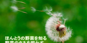 シードマイスターセミナー