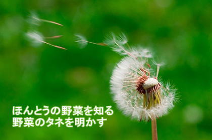 シードマイスターセミナー