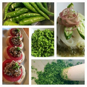 11351247_862869533779149_3597116615313940325_n