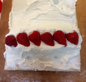 13095920_1013603345403129_4437105577043926822_n