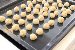 13640825_208066959595651_3066553051973916076_o