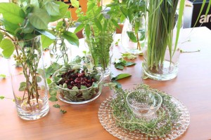 13662302_208065026262511_7253188780726218950_o