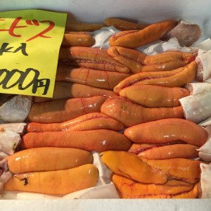 14570510_1152683001495162_5522610783478894810_n