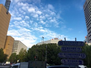 14702438_1152682644828531_681428520058970231_n