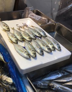 14718732_1152682948161834_4338522170729720797_n