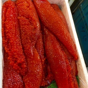 14720477_1152682888161840_3130514462455297554_n