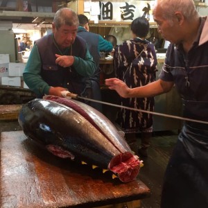 14732196_1152683054828490_8597213834480843445_n